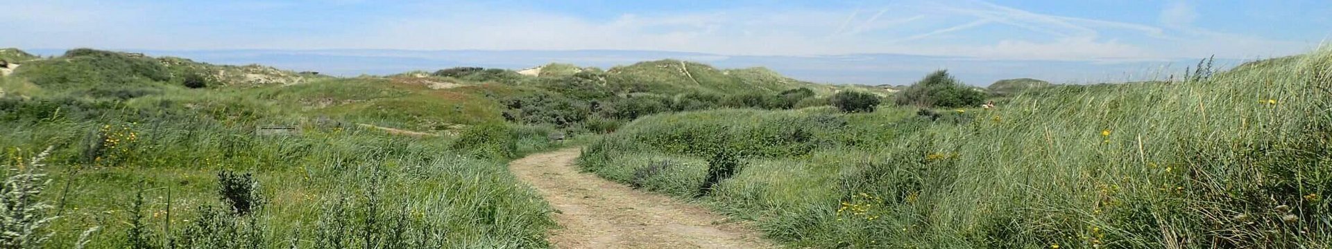 Ein Dünenweg in Egmond an Zee