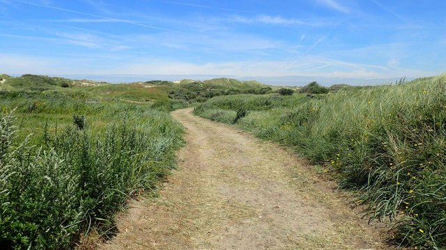 Ein Dünenweg in Egmond an Zee